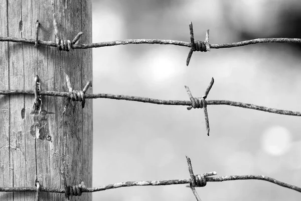 Barbed wire nailed to a wooden fence post — Stock Photo, Image