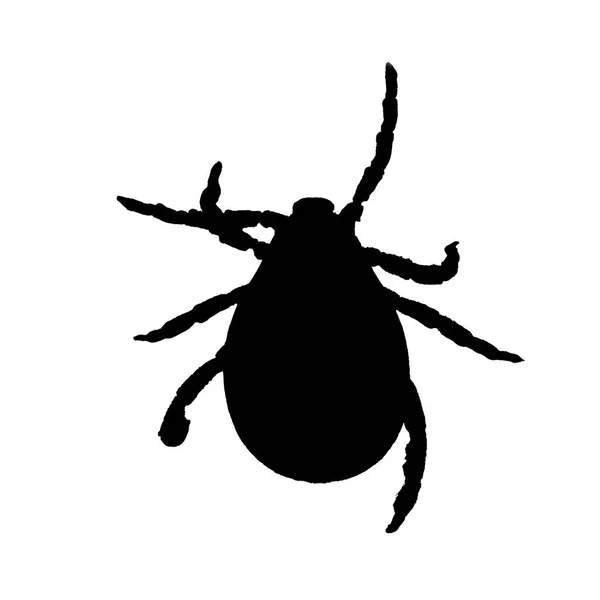 Silhueta preta de um ácaro isolado em um branco — Fotografia de Stock