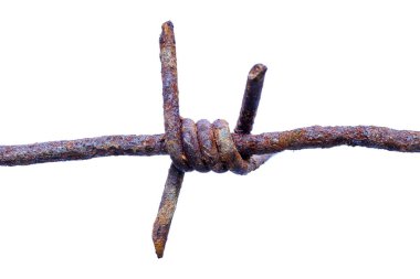 Beyaz makro fotoğraf izole eski paslı dikenli tel Spike