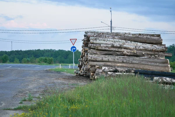 Купа розрізаних дерев'яних колод, що лежать на узбіччі дороги в Росії — стокове фото