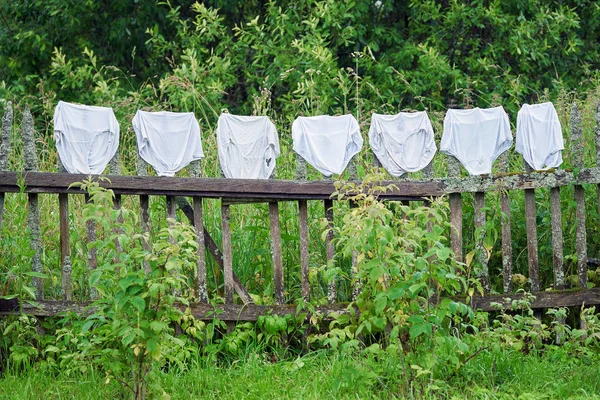 As cuecas femininas lavadas de um tamanho grande estão sendo secas na cerca de madeira velha ao ar livre — Fotografia de Stock