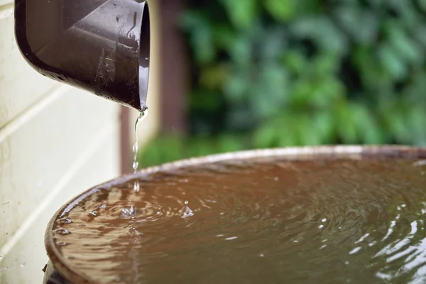 Regenwater stroomt van een plastic afvoerpijp naar de metalen vat in de tuin — Stockfoto