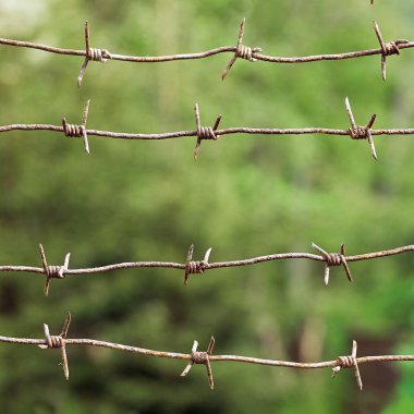 Paslı dikenli teller arka planda bulanık ağaç yaprakları ile ahşap mesajlar arasında gergin