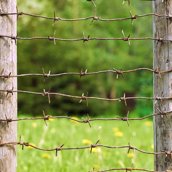 Rusty druty kolczałe rozciągnięte między słupami ogrodzenia drewniane z zielonej łąki na tle — Zdjęcie stockowe