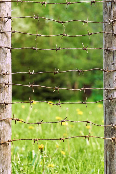 Rezavé ostné dráty se táhly mezi dřevěnými plotové sloupy se zelenou loukou na pozadí — Stock fotografie