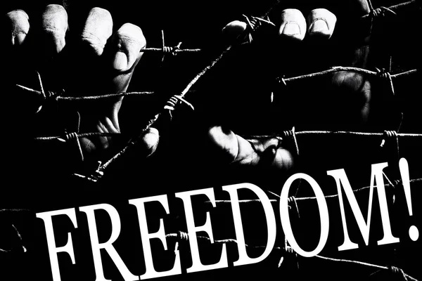 Male hands hold stretched rusty barbed wire in the dark with a writing: FREEDOM — Stock Photo, Image