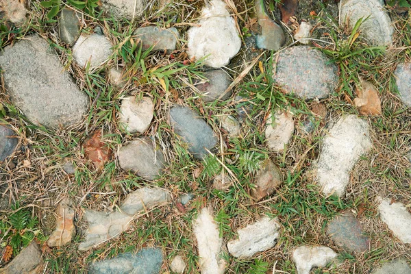 Tło z drogi wiejskiej utwardzonej kamieniami — Zdjęcie stockowe