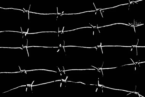 Barbed wires lit by the light of lamps isolated on black — Stock Photo, Image