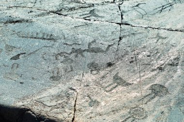 Onega göl kıyısının taş plakaları üzerinde antik gravürler petroglifler