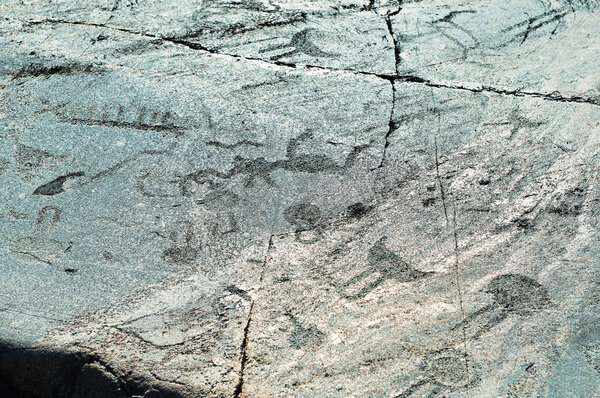 Ancient engravings petroglyphs on the stone plates of Onega lake shore