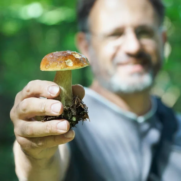 Vousatý muž ukazuje v lese houbová hřib edulis — Stock fotografie