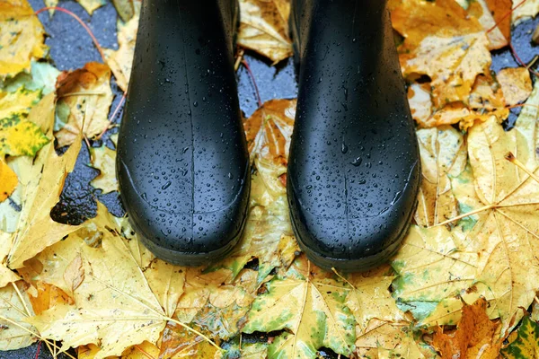 站在铺满落叶的柏油路上的黑色橡胶靴 — 图库照片