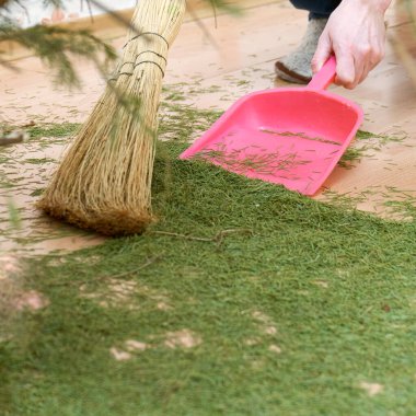 Yılbaşından sonra kurumuş Noel ağacının yerlerini temizliyorum.