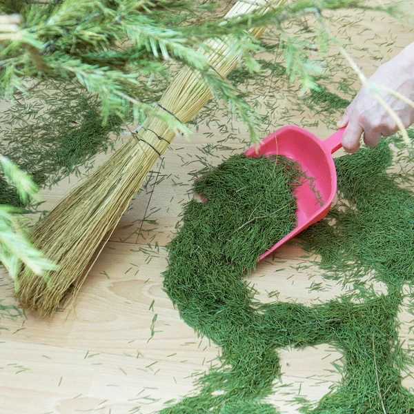 Cleaning the floor from dry fallen Christmas tree needles after New Year holidays — Stock Photo, Image