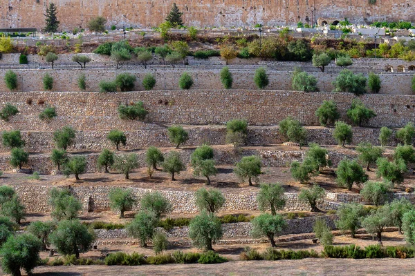 Террасы долины Кидрон в Старом городе Иерусалима — стоковое фото