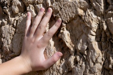 İsrail, Kudüs 'te antik bir duvara dokunan genç bir kızın eli