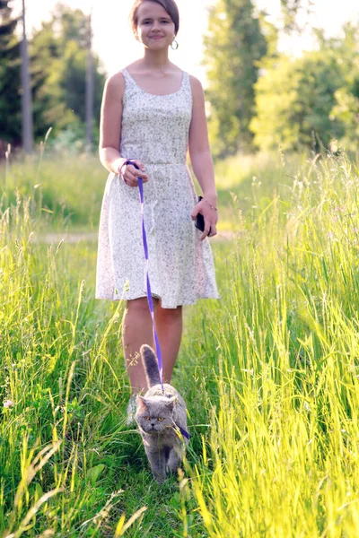 Tonårsflicka Promenader Med Brittisk Kort Hår Hane Katt Koppel Grönt — Stockfoto