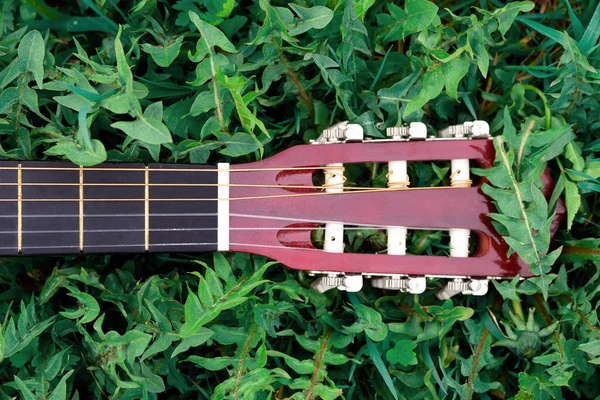 Panneau d'une guitare acoustique couché sur de l'herbe verte — Photo