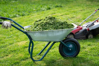 El arabası budanmış çim ve çim biçme makinesi bahar bahçesindeki biçilmiş çimlerin üzerinde duruyordu.