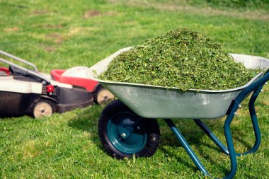El arabası budanmış çim ve çim biçme makinesi bahar bahçesindeki biçilmiş çimlerin üzerinde duruyordu.
