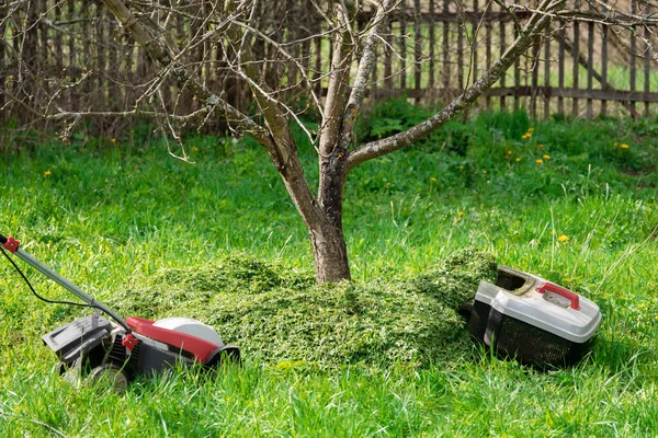 Lawn mower and its container stands near a tree. Fertilization of the soil around a fruit tree with trimmed grass after lawn mowing in the spring garden