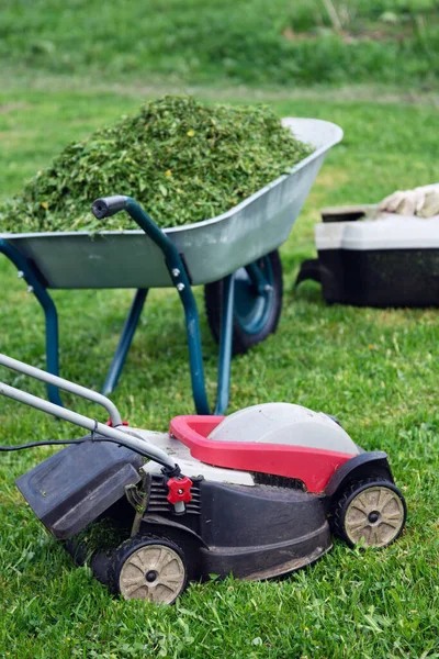 Lawn mower, grass container and a garden wheelbarrow full of trimmed grass on the mowed lawn in spring garden. Garden tools.