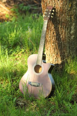 Açık havada ağaç gövdesi karşı yaslanmış güneşli akustik gitar