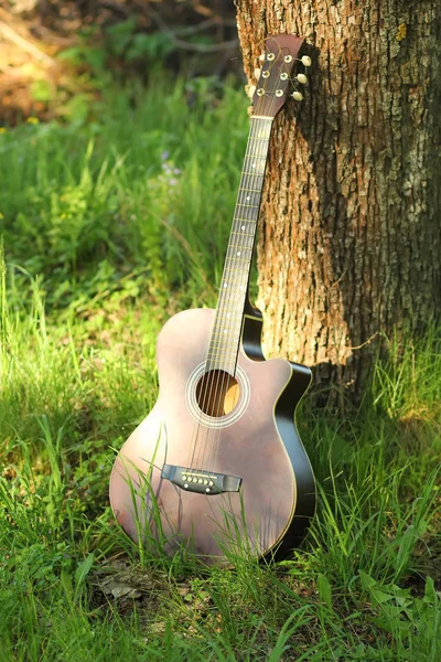 Açık havada ağaç gövdesi karşı yaslanmış güneşli akustik gitar