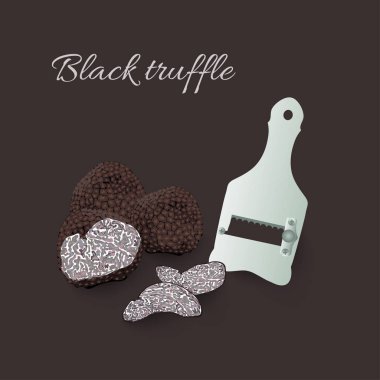 Siyah truffles mantar, yumru mantar ve Dilimleyici çizilmiş vektör çizim el