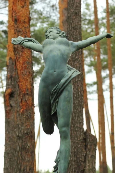 Irpin 乌克兰 2018年5月9日 在中央公共公园的一个裸体女人的青铜雕像 现代艺术 — 图库照片