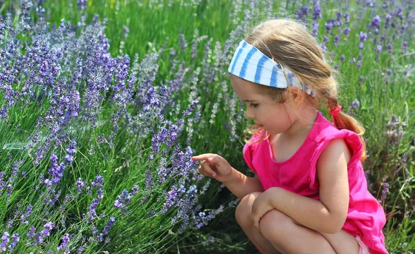 Kleuter Meisje Verkennen Van Lavendel Veld Voor Eerste Keer Profiel — Stockfoto