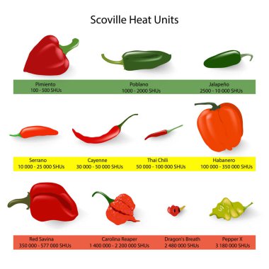 Scoville Acılık Ölçeği biber biber müstehcenlik, vektör