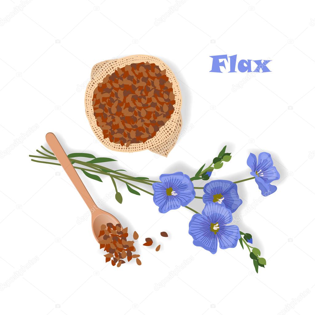 Hand drawn vector illustration of flax plant and seeds in sack and spoon
