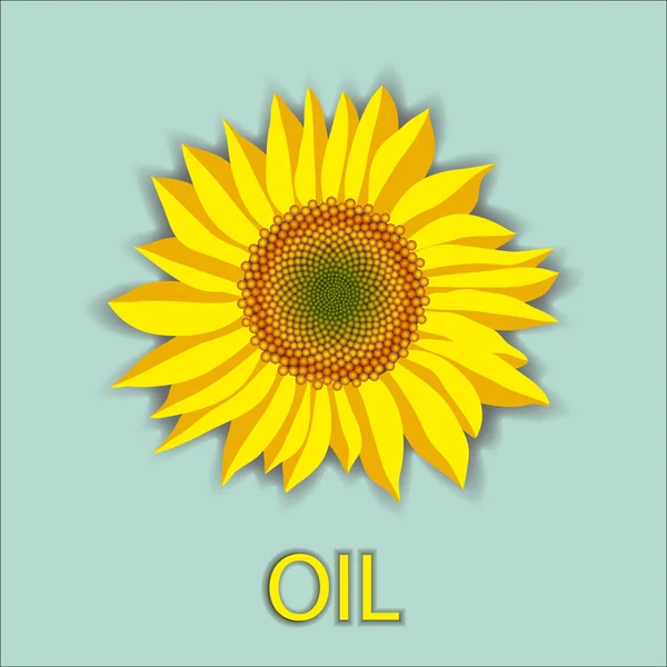 Ayçiçeği çiçek başını üstten görünüm ve petrol yazı vektör çizim