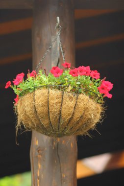 El yapımı, zincir pot kırmızı Petunya çiçek ve saman ile asılı. DIY zanaat fikirler