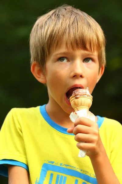 노란색 티셔츠 공원에서 아이스크림을 소년의 초상화 배경을 흐리게 — 스톡 사진