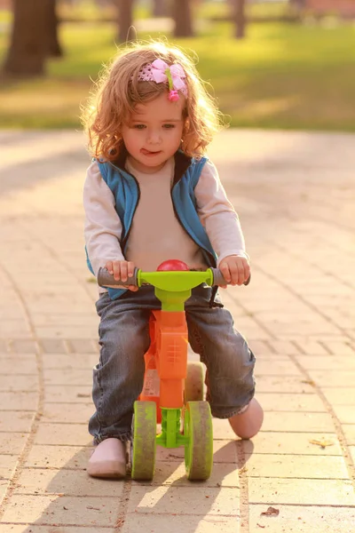 Niña Pequeña Montando Una Bicicleta Parque Verano Iluminado Por Sol —  Fotos de Stock