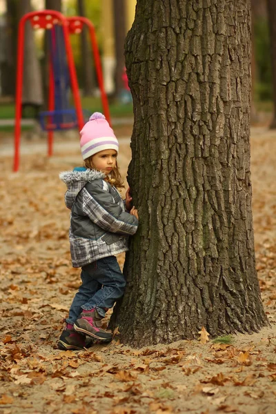 Toddler Girl Playing Hide Seek Autumn Park Hiding Tree Ful — Stock Photo, Image