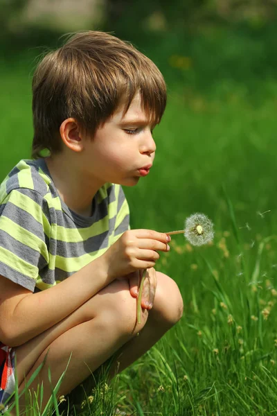 Jongen Waait Een Paardebloem Bloem Zomer Veld — Stockfoto