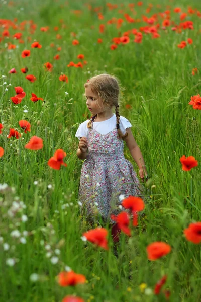 Drie Jaar Oude Peuter Meisje Zomer Gebied Van Blooming Papaver — Stockfoto