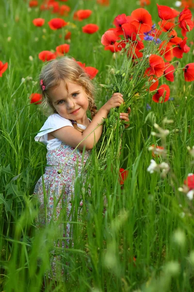 Drie Jaar Oude Peuter Meisje Zomer Gebied Van Blooming Papaver — Stockfoto