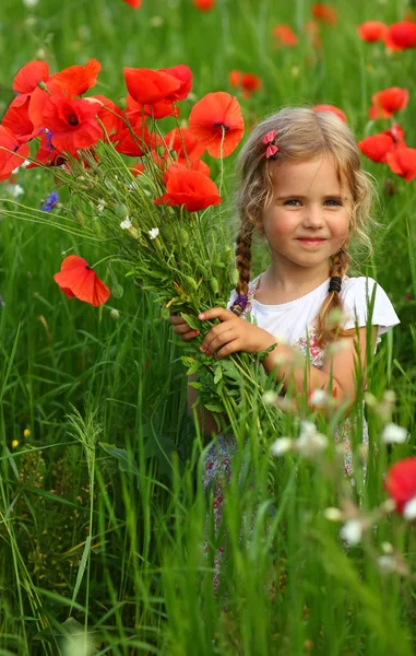 Trzyletnia Dziewczyna Malucha Polu Letnim Kwitnących Kwiatów Maku — Zdjęcie stockowe