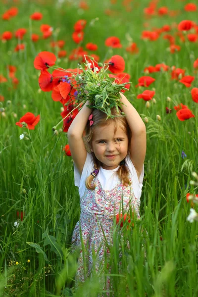 Drie Jaar Oude Peuter Meisje Zomer Gebied Van Blooming Papaver — Stockfoto