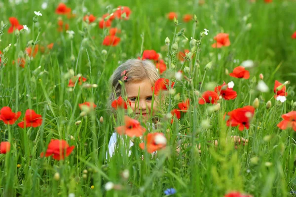 Drie Jaar Oude Peuter Meisje Verstopt Zomer Gebied Van Blooming — Stockfoto