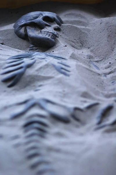 Excavated Skeleton Dummy Lying Sand — Stock Photo, Image