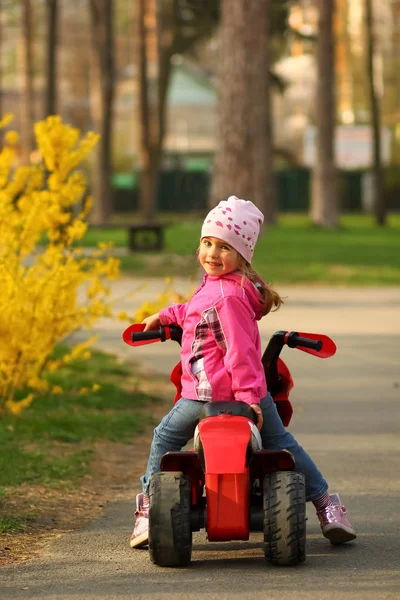 Fille Trois Ans Posant Sur Vélo Dans Parc Automne — Photo