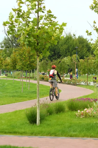 Homme Vélo Dans Parc Été Ville Vue Arrière — Photo