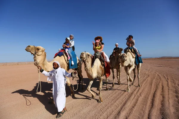Sharm Sheikh Égypte Mars 2020 Touristes Chevauchant Des Chameaux Dans — Photo