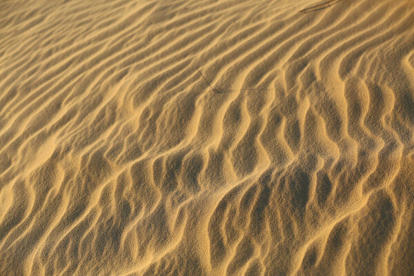 Крупный план текстуры песчаных дюн пустыни на закате в Олешках, Украина