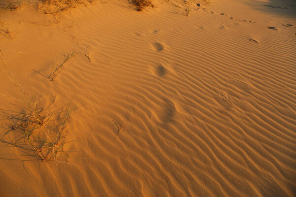 Закат в песчаных дюнах пустыни в Олешках, Украина